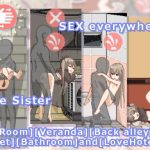 Everyday-Sexual-Life-with-Hikikomori-Sister-PC-Crack